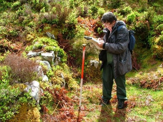 A series of small walls ?